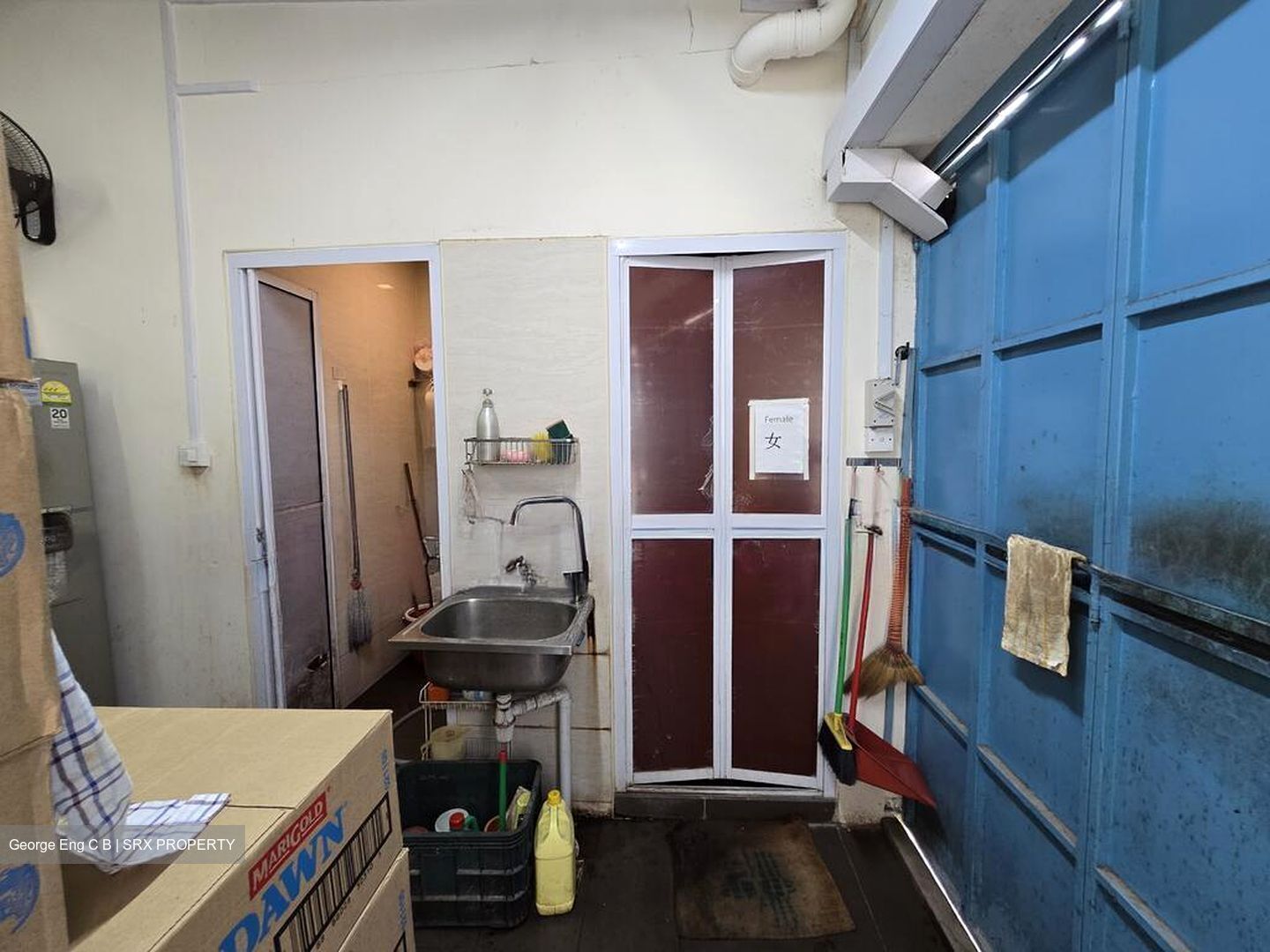 Sims Avenue (D14), Shop House #496676831